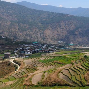 Punakha