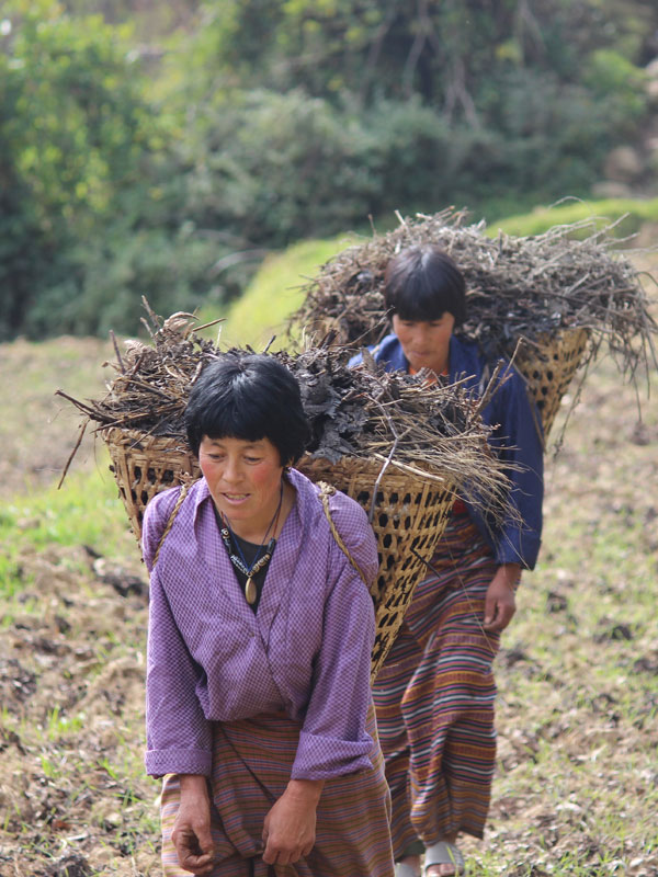 Mongar